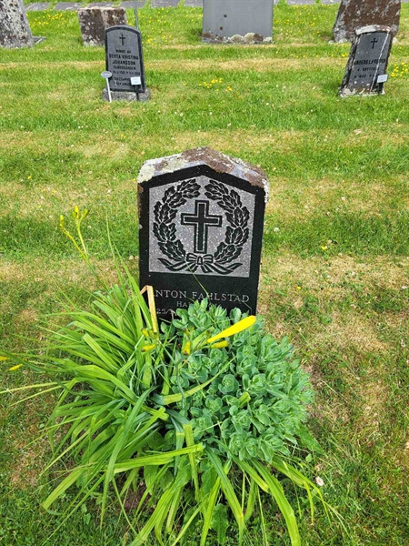 Grave number: kö 01 05   125