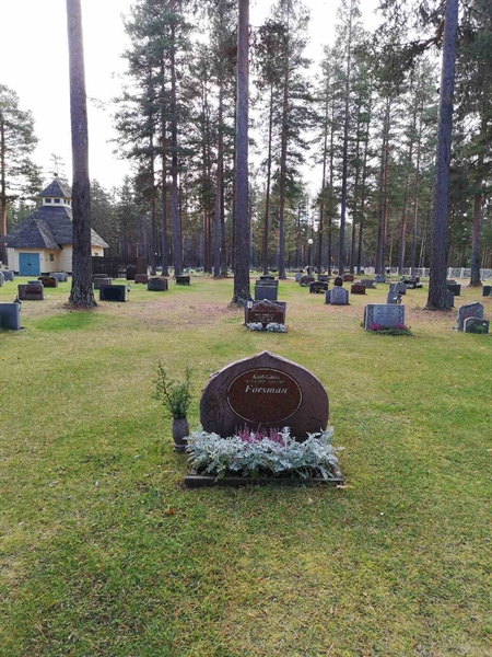 Hautatunnus: VLM 15   116-117