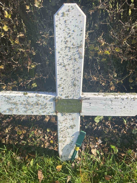 Hautatunnus: 6 04    166