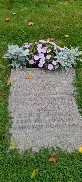 Grave number: M S   63a, 63b