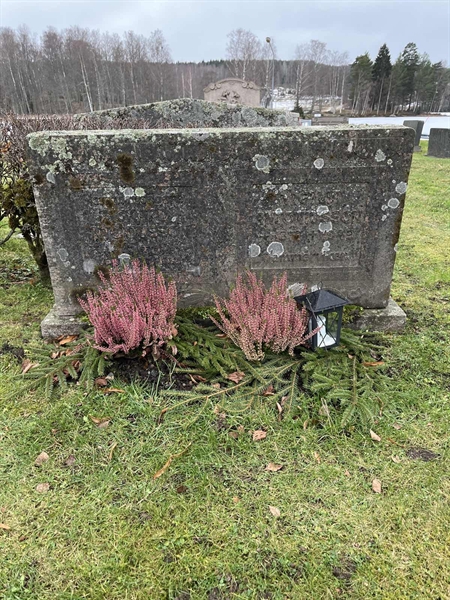 Hautatunnus: Vårv Kv4 199+200