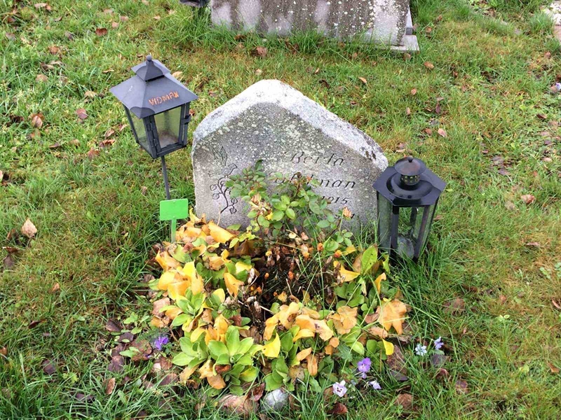 Grave number: 3 1724