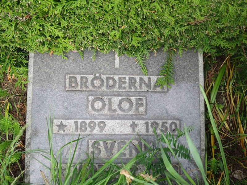 Grave number: HÖB 46    38