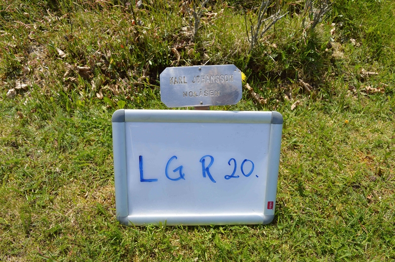 Grave number: LG R    20