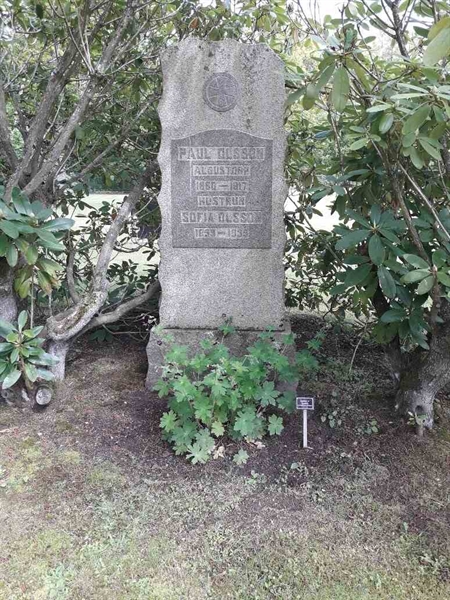 Grave number: SB 06     6