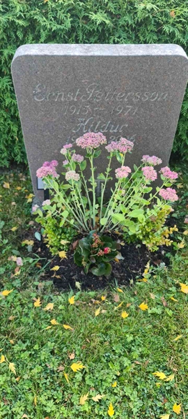 Grave number: M H   27, 28