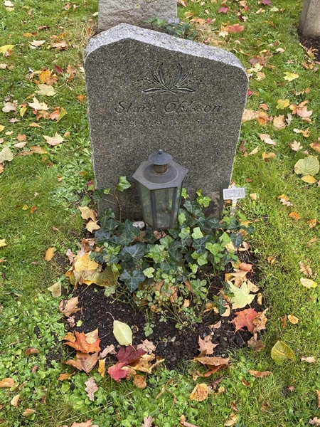 Grave number: 1 H   220