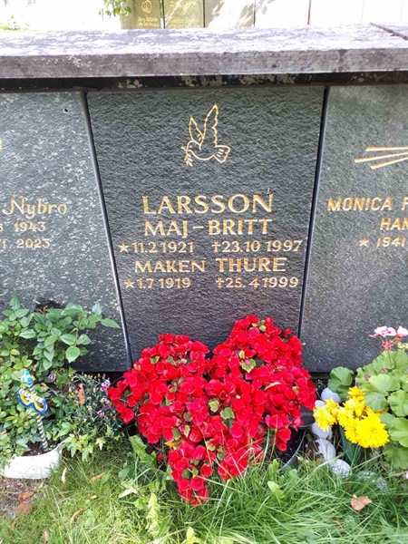 Hautatunnus: GK U 4   294