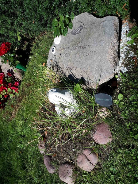 Gravnummer: GK U 4   699