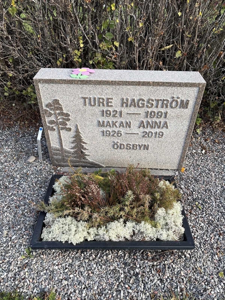 Grave number: 4 N ND   231