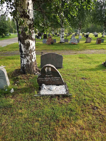 Hautatunnus: NK 17    92