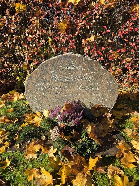 Grave number: Ö B A   176-177