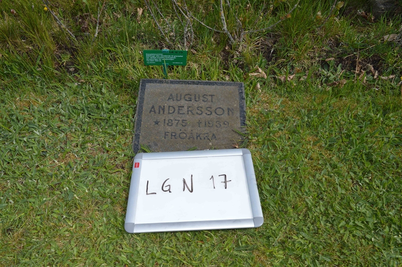 Grave number: LG N    17
