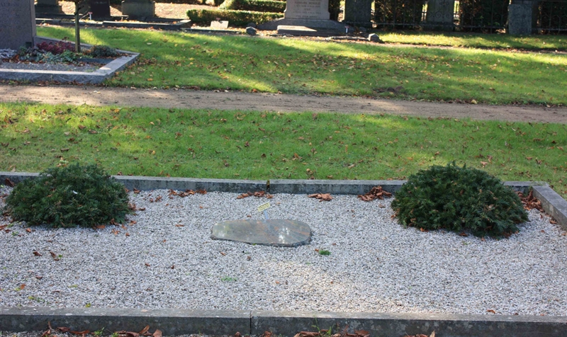 Grave number: Ö 15i   113, 114, 115