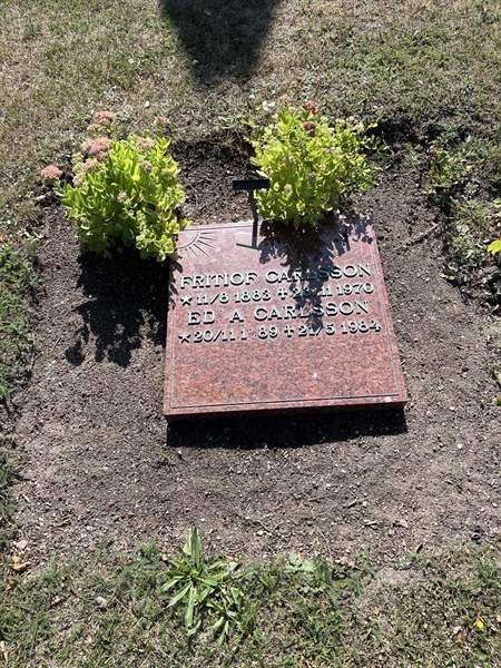 Grave number: NK X:u    63