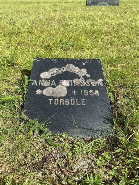 Hautatunnus: 4 G 02   276