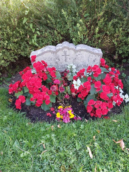 Grave number: 1 C 019