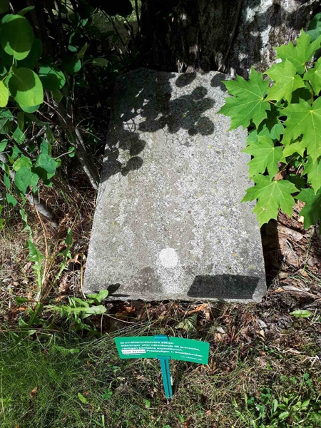 Hautatunnus: GK A 5   213H