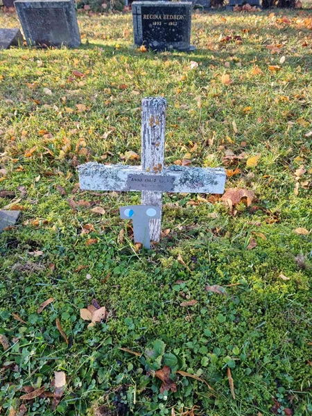 Grave number: 1 19  105