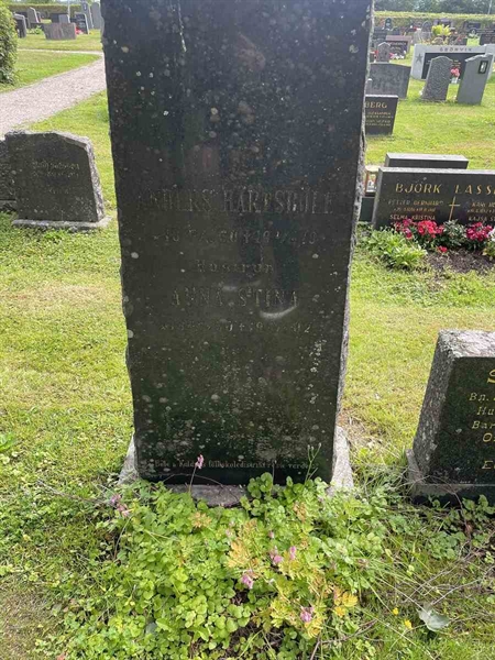 Grave number: N 4 2   276