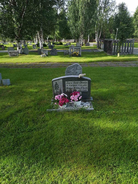 Hautatunnus: NK 17    54