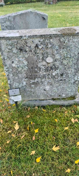 Grave number: M H   81
