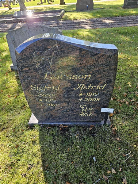 Grave number: Fr 7   951