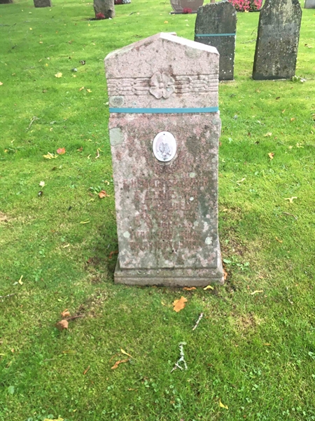 Grave number: 2 F   313