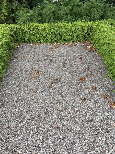 Grave number: NK IX   221