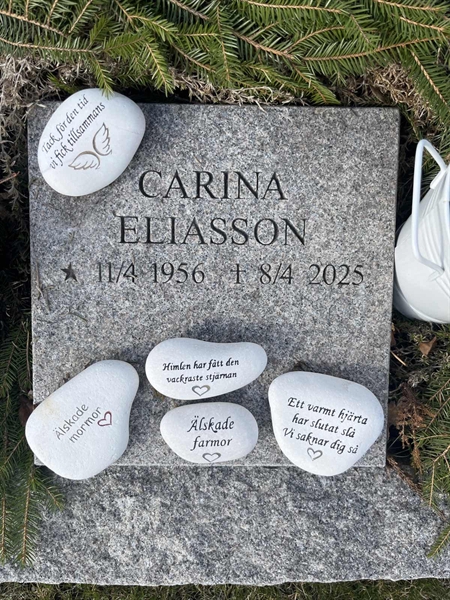 Gravnummer: FÄ 003     4-07