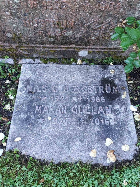 Hautatunnus: NK F B    52