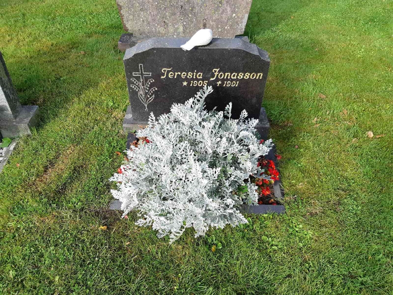 Gravnummer: Fr 8   516