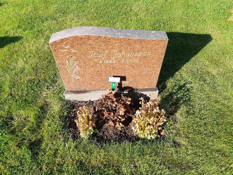 Gravnummer: Fr 8   312-314