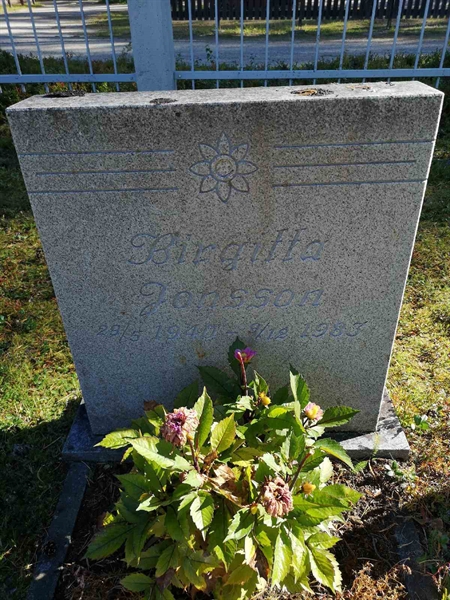 Hautatunnus: VLM 02    18:1