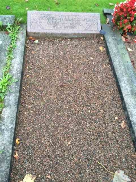 Grave number: TÖ 1    17