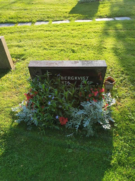 Grave number: 1 10   184-185