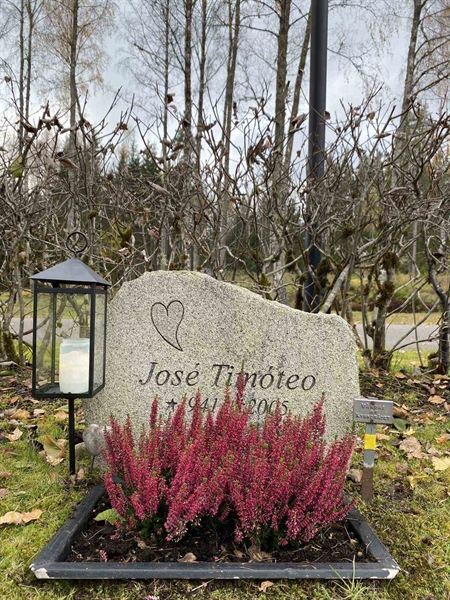 Grave number: 1 29     38