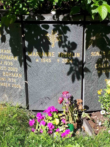 Gravnummer: GK U 4   342