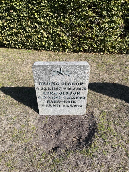 Grave number: NK I:u   204
