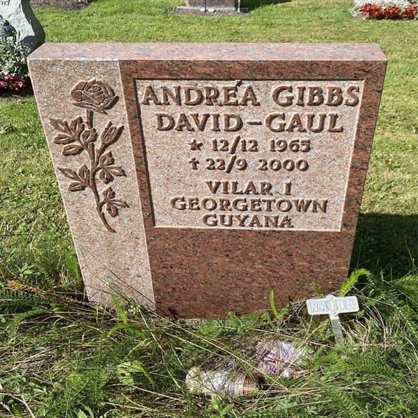 Hautatunnus: 1 NA   105