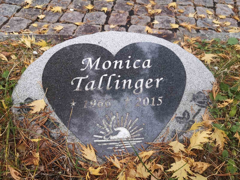 Hautatunnus: VLM U    62