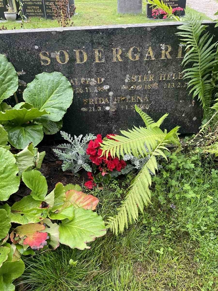 Hautatunnus: N 4 4   675a