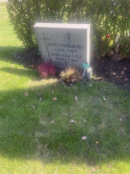 Grave number: 1 3 F1 287