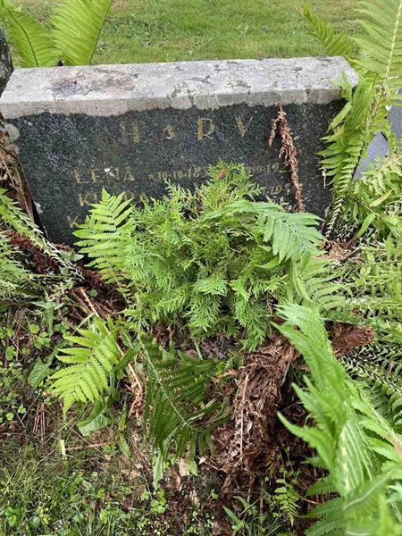 Gravnummer: N 4 3   401