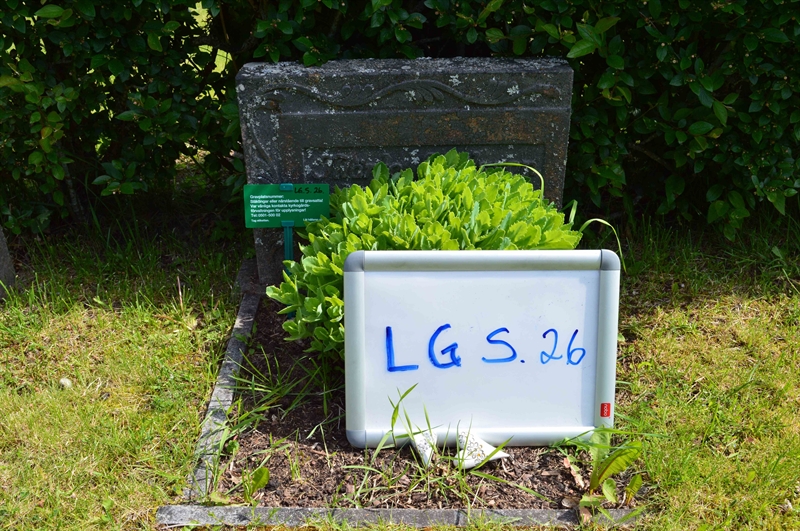 Grave number: LG S    26