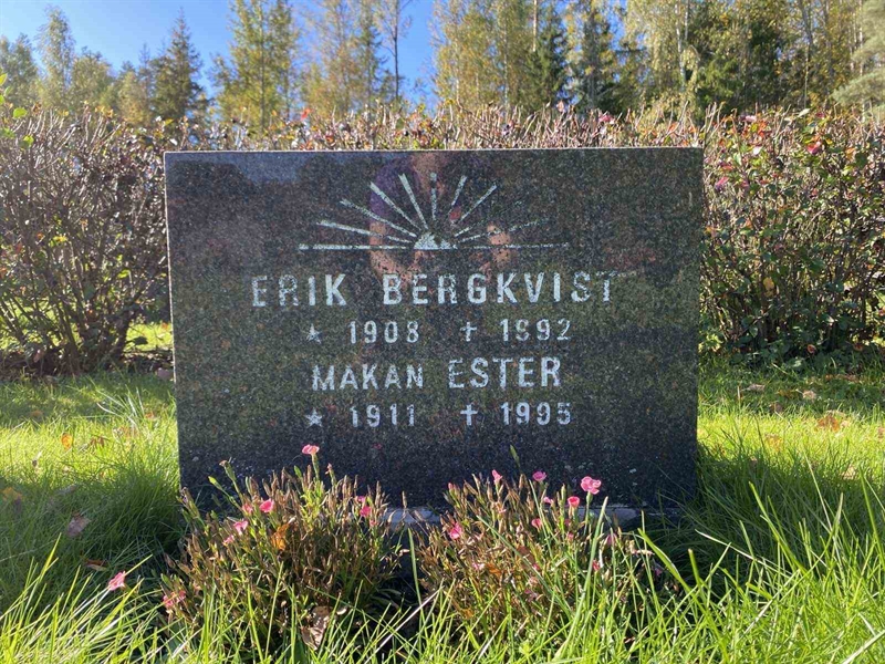 Grave number: 1 22     79