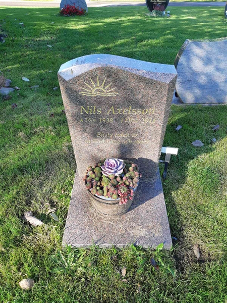 Hautatunnus: Fr 8   100-101