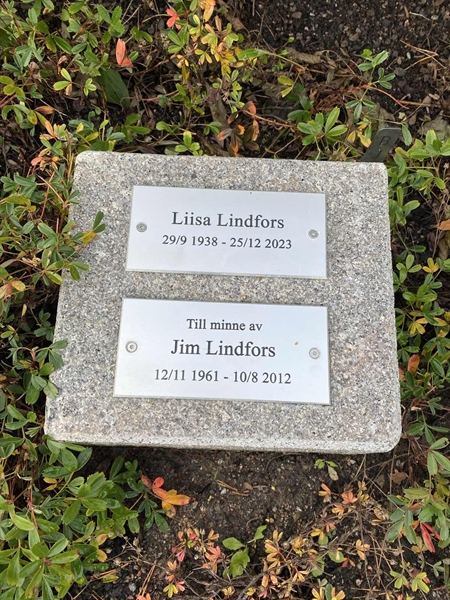 Gravnummer: 2 B    21