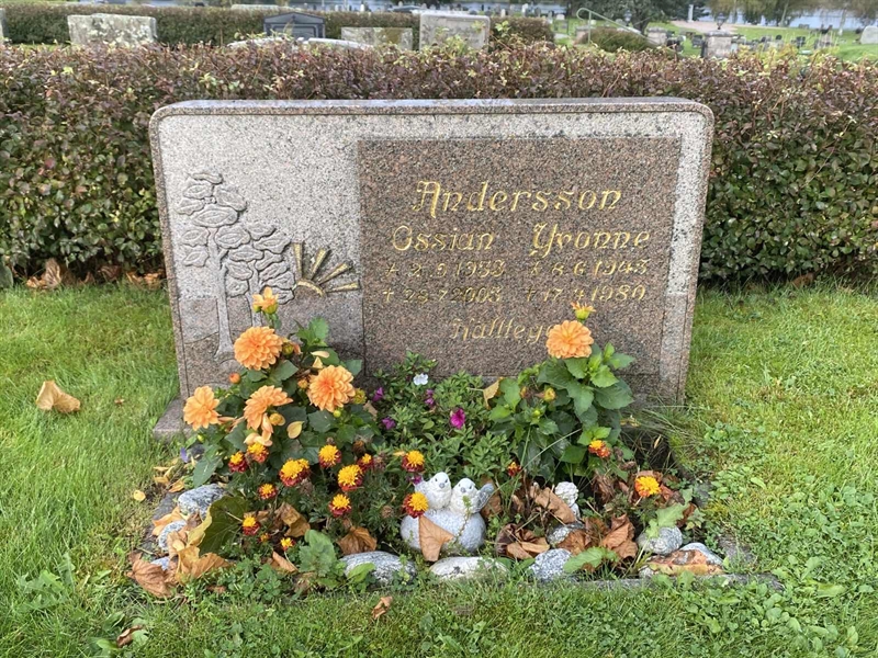 Grave number: 4 Öv 17   184-185