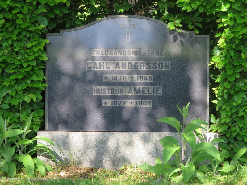 Grave number: HÖB 24    18